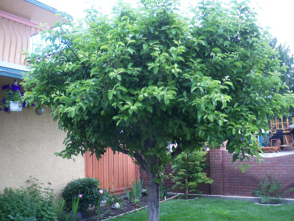 Lakeside Villa Inn&Suites Penticton Esterno foto