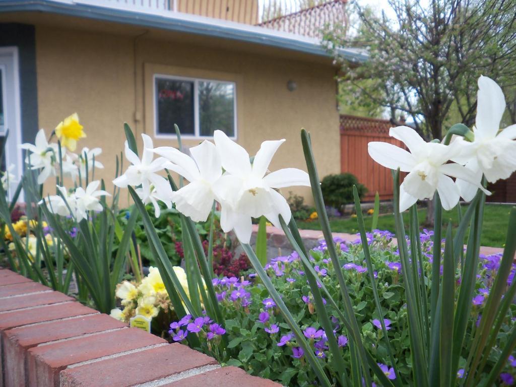 Lakeside Villa Inn&Suites Penticton Esterno foto